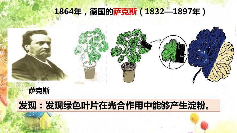 大象版科学五年级下册4.3《植物的食物》 课件07