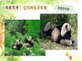 大象版科學六年級下冊1.1《動物的家園》 課件