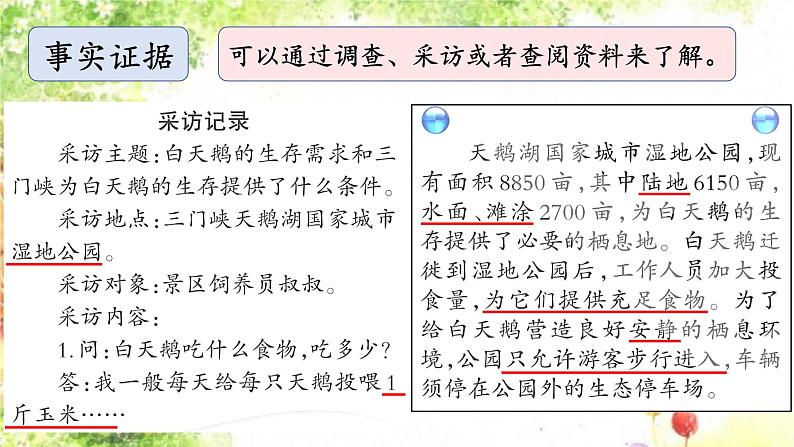 大象版科学六年级下册1.3《环境变化与动物行为》 课件04