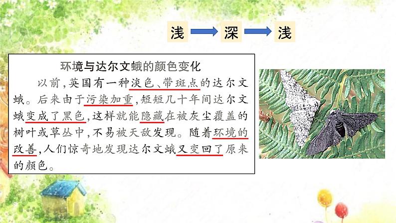 大象版科学六年级下册1.3《环境变化与动物行为》 课件08