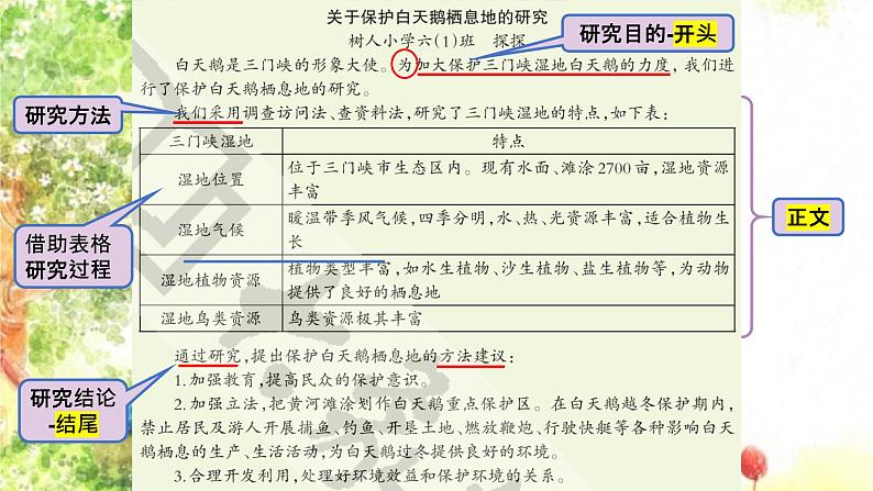 大象版科学六年级下册1.5《保护生物的家园》 课件第4页