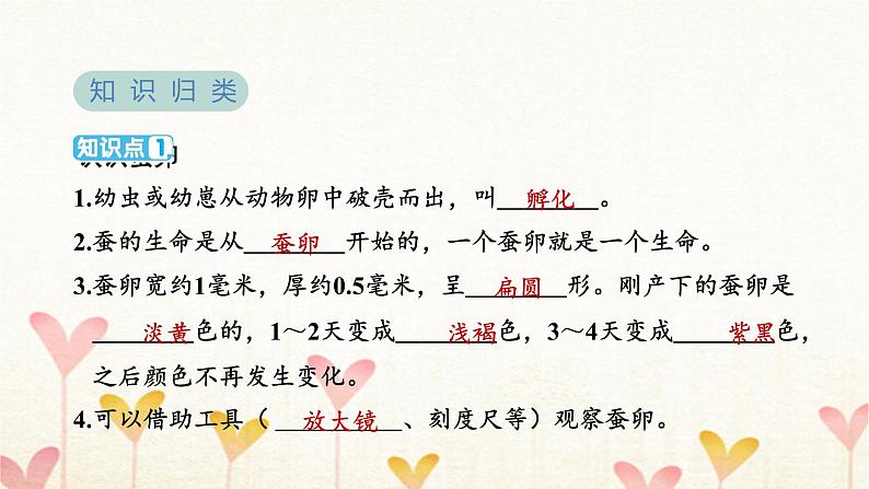 教科版三年级科学下册第2单元第1课时迎接蚕宝宝的到来习题课件第3页