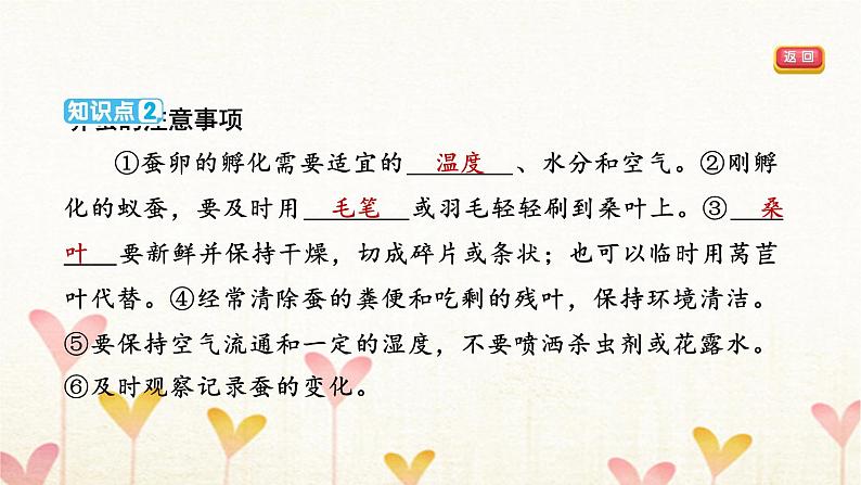 教科版三年级科学下册第2单元第1课时迎接蚕宝宝的到来习题课件第4页