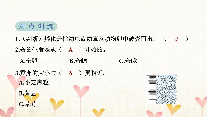教科版三年级科学下册第2单元第1课时迎接蚕宝宝的到来习题课件第5页