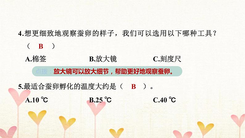 教科版三年级科学下册第2单元第1课时迎接蚕宝宝的到来习题课件第6页