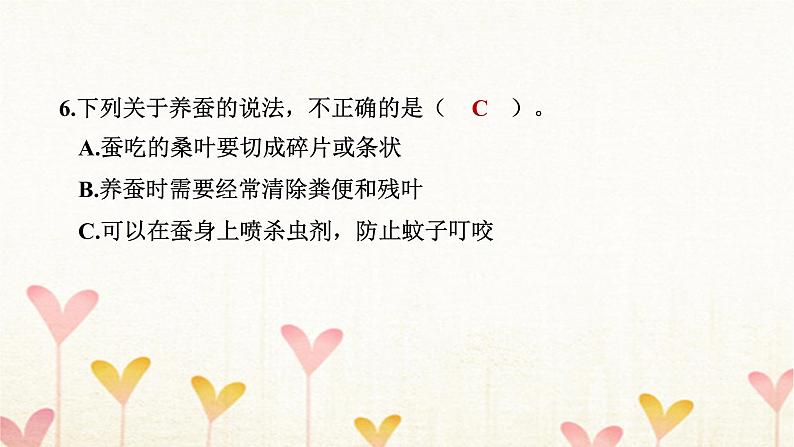 教科版三年级科学下册第2单元第1课时迎接蚕宝宝的到来习题课件第7页