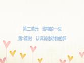 教科版三年级科学下册第2单元第2课时认识其他动物的卵习题课件