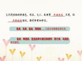 教科版三年级科学下册第2单元第2课时认识其他动物的卵习题课件