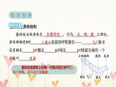 教科版三年级科学下册第2单元第3课时蚕长大了习题课件
