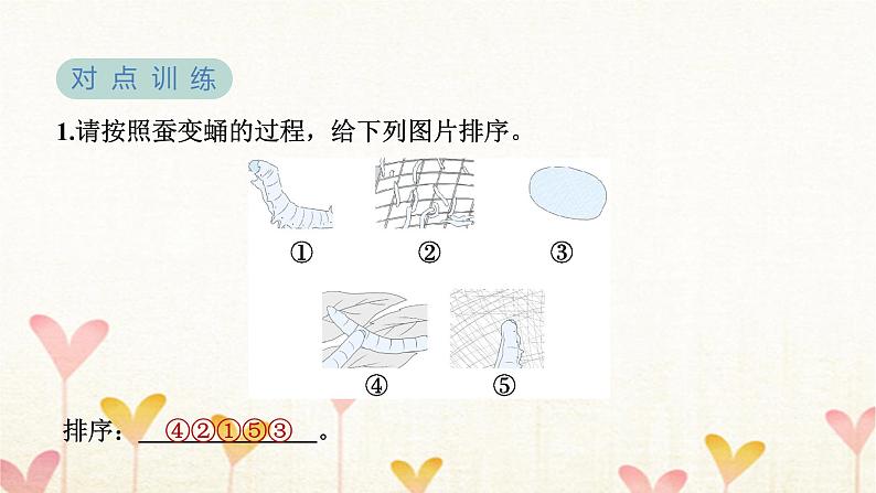 教科版三年级科学下册第2单元第4课时蚕变了新模样习题课件06