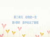 教科版三年级科学下册第2单元第5课时茧中钻出了蚕蛾习题课件