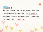 教科版三年级科学下册第2单元第6课时蚕的一生习题课件