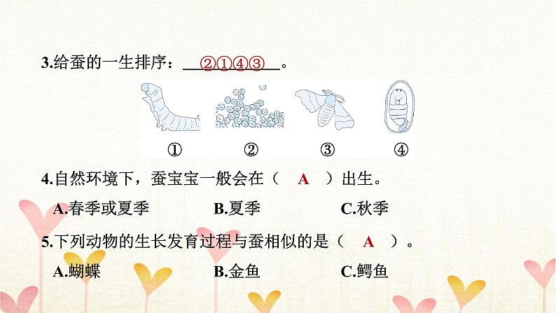 教科版三年级科学下册第2单元第6课时蚕的一生习题课件第7页