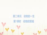 教科版三年级科学下册第2单元第7课时动物的繁殖习题课件