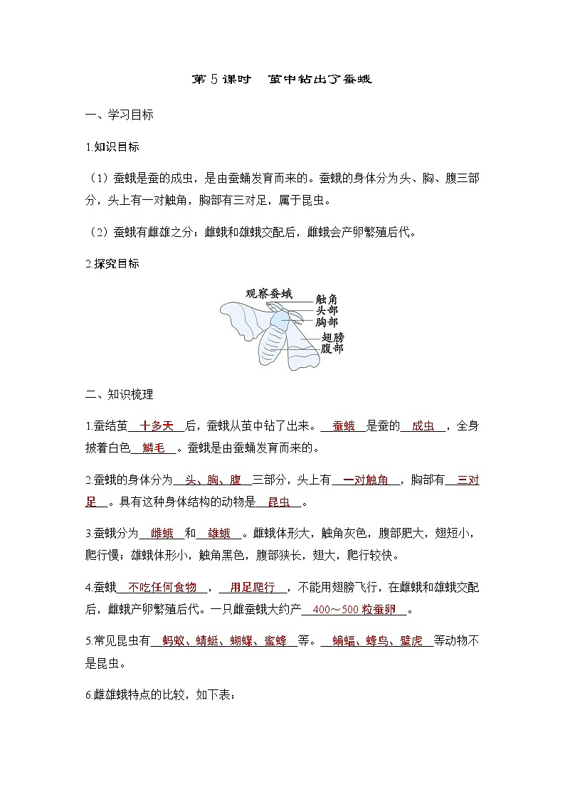 教科版三年级科学下册第2单元第5课时茧中钻出了蚕蛾学案第1页