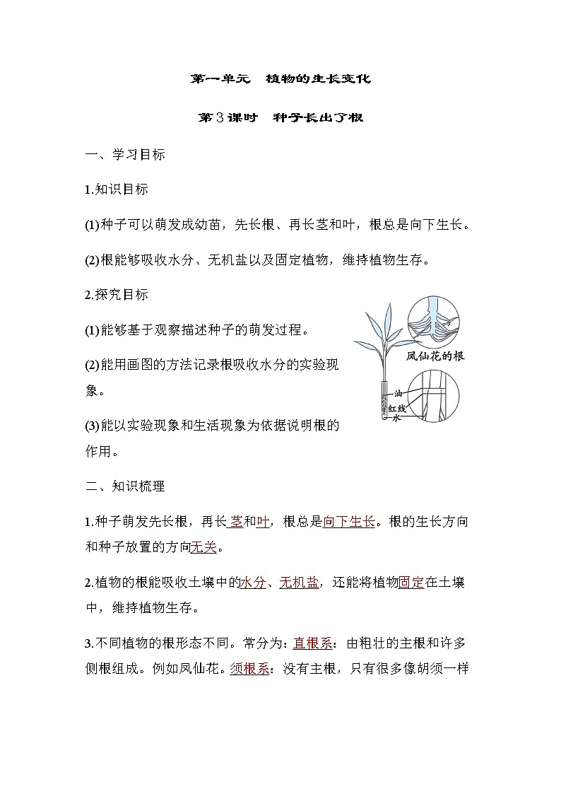 教科版四年级科学下册第1单元第3课时种子长出了根学案01