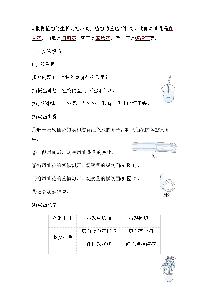 教科版四年级科学下册第1单元第4课时茎和叶学案02