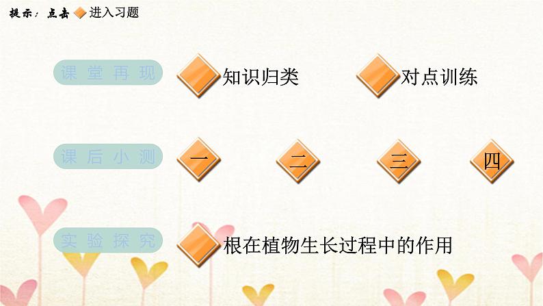 教科版四年级科学下册第1单元第3课时种子长出了根习题课件第2页