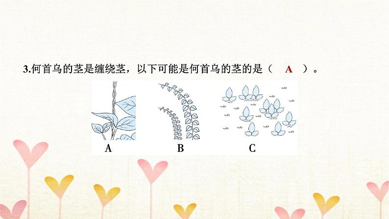 教科版四年级科学下册第1单元第4课时茎和叶习题课件第6页