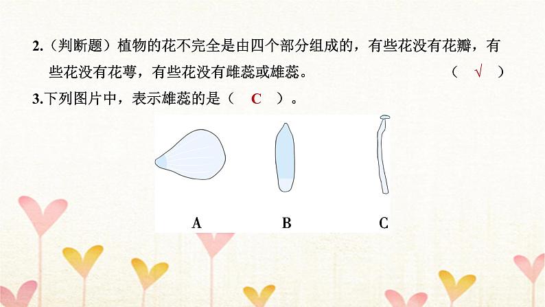 教科版四年级科学下册第1单元第5课时凤仙花开花了习题课件06