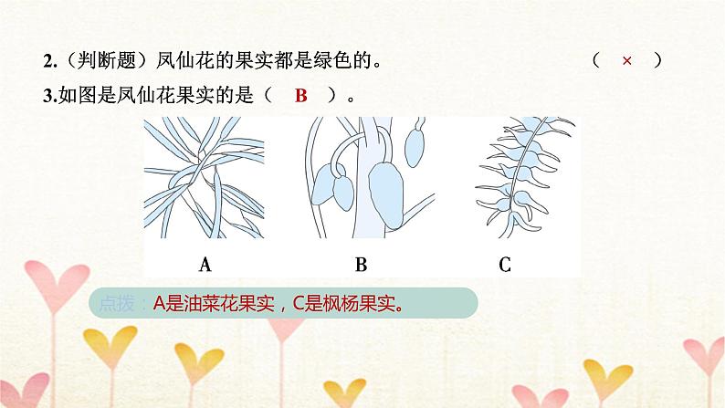 教科版四年级科学下册第1单元第6课时果实和种子习题课件第6页