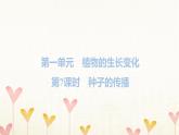 教科版四年级科学下册第1单元第7课时种子的传播习题课件