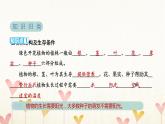 教科版四年级科学下册第1单元第8课时凤仙花的一生习题课件