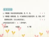 教科版四年级科学下册第1单元第8课时凤仙花的一生习题课件