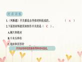 教科版四年级科学下册第2单元第7课时电路中的开关习题课件