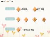 教科版四年级科学下册第3单元第6课时观察土壤习题课件
