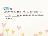 教科版四年级科学下册第3单元第6课时观察土壤习题课件