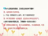 教科版四年级科学下册附录本册教材研讨问题参考答案习题课件