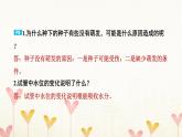 教科版四年级科学下册附录本册教材研讨问题参考答案习题课件