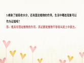 教科版四年级科学下册附录本册教材研讨问题参考答案习题课件