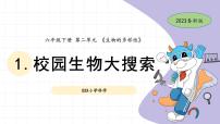 教科版 (2017)六年级下册1.校园生物大搜索图片课件ppt