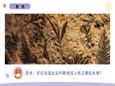 教科版科学六年级下册第二单元课件教案(6.古代生物的多样性）