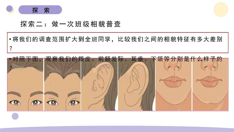 5.相貌各异的我们第4页