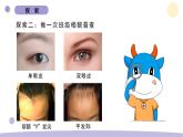 教科版科学六年级下册第二单元课件教案（5.相貌各异的我们)