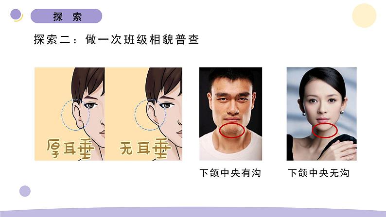 5.相貌各异的我们第6页