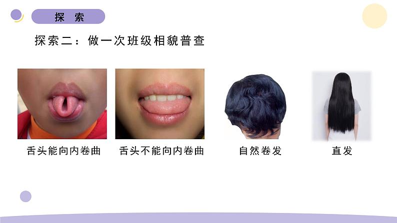 5.相貌各异的我们第7页