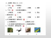 苏教版小学科学四年级下册第三单元【昆虫】检测题答案课件PPT