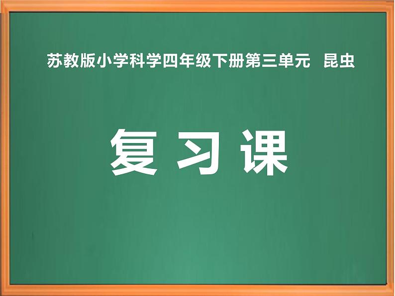 苏教版小学科学四年级下册第三单元【昆虫】复习课件01