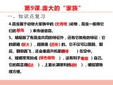苏教版小学科学四年级下册第三单元【昆虫】复习课件