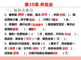 苏教版小学科学四年级下册第三单元【昆虫】复习课件