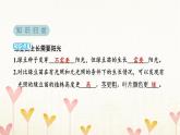 教科版五年级科学下册第1单元第3课时绿豆苗的生长习题课件