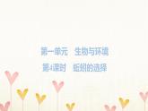 教科版五年级科学下册第1单元第4课时蚯蚓的选择习题课件