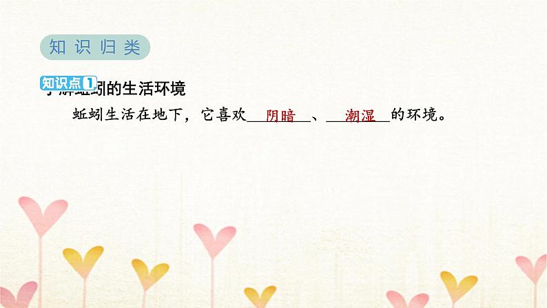 教科版五年级科学下册第1单元第4课时蚯蚓的选择习题课件03