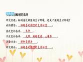 教科版五年级科学下册第1单元第4课时蚯蚓的选择习题课件
