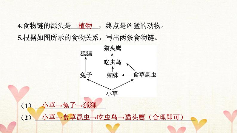 教科版五年级科学下册第1单元第6课时食物链和食物网习题课件第7页