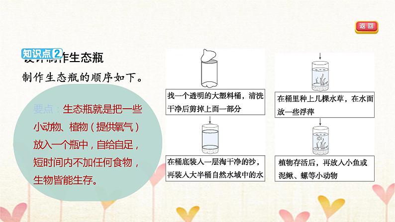 教科版五年级科学下册第1单元第7课时设计和制作生态瓶习题课件04